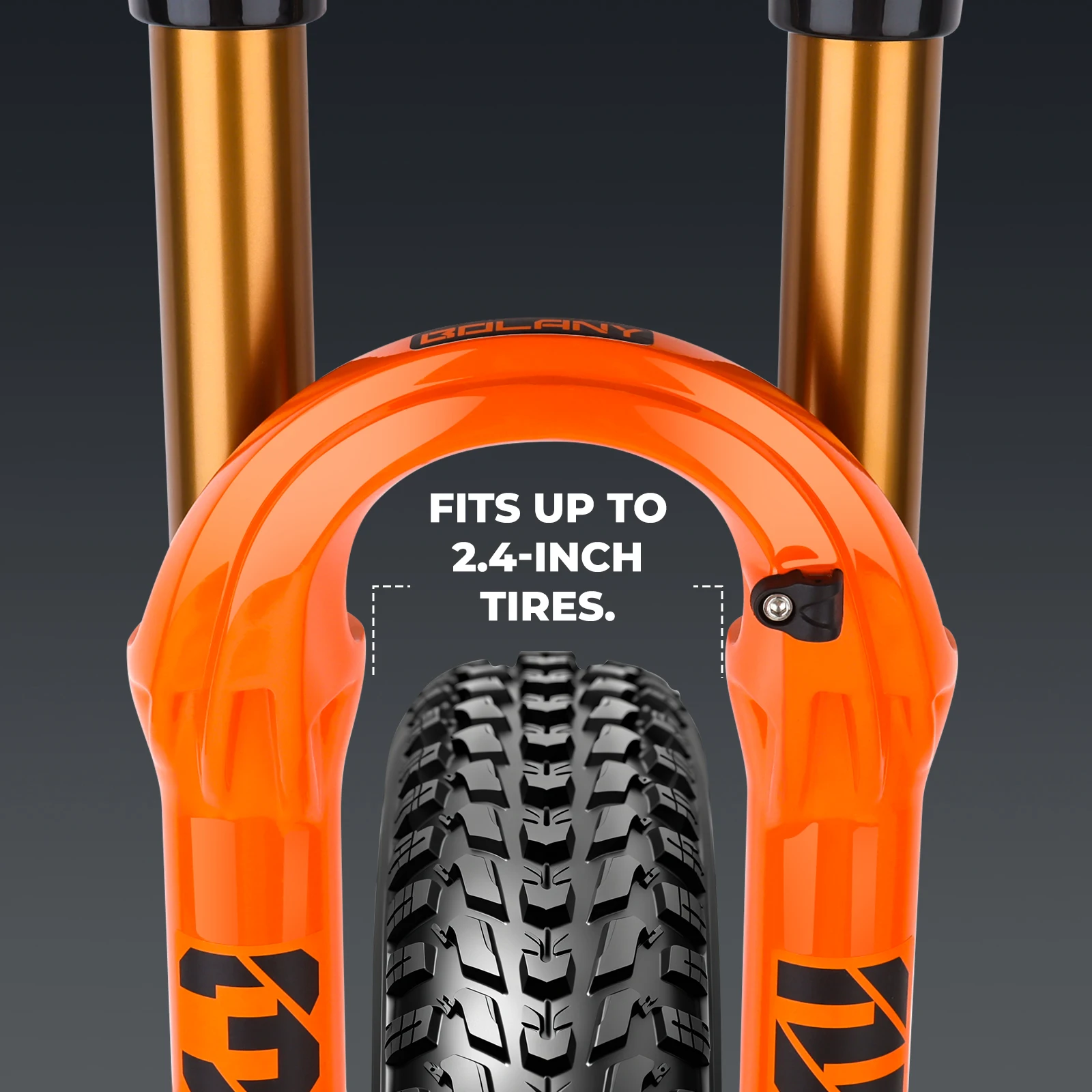 BOLANY MTB Air Suspension Fork 5