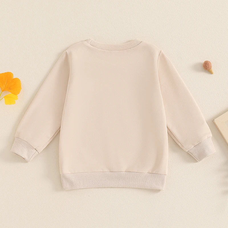 -06-13 Lioraitiin 1-5Y Autumn Toddler Kids Boys Sweatshirt Long Sleeve Crew Neck Letters Print Pullover Tops