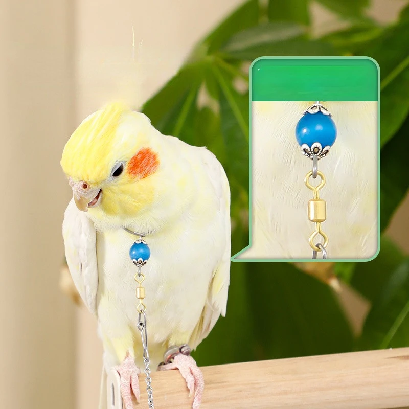 Bird Parrot Foot Chain Stainless Steel Ankle Foot Ring Stand Chain Outdoor Flying Training Bird Accessories