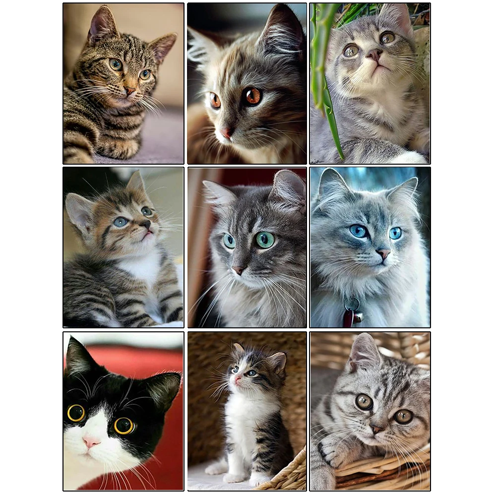 

Diamond Embroidery Cat 5D New 2022 Diamond Painting Animal Cross Stitch Kits Mosaic Rhinestone Pictures Handmade Hobby