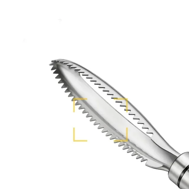 Stainless Fish Scales Scraping Graters Fast Remove Cleaning Peeler Scraper Bone Tweezers Tool Gadge Kitchen Accessorie Gadgets 3