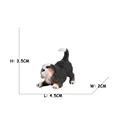 Bona Mountain Dog 3