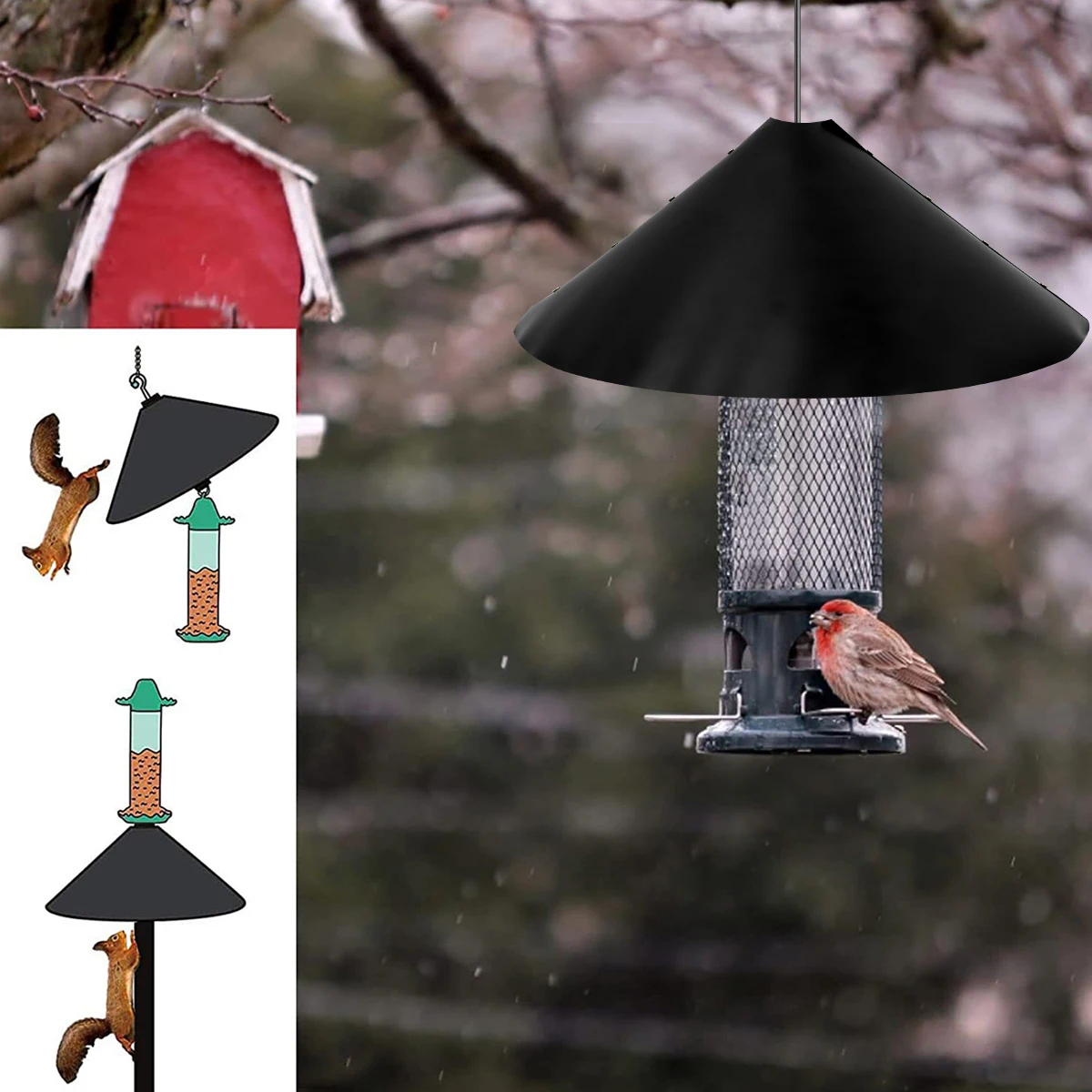De Eekhoorn Beschermende Baffle Vogel Feeder Wrapa... – Vicedeal