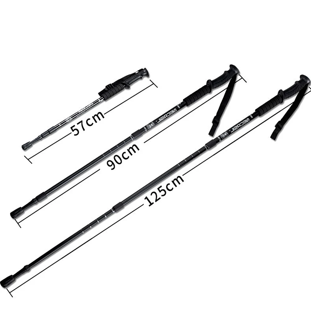 Slide image 5e541d5f63624b05a397092c89c0ce16