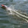 US STOCK Feilun FT016 Remote Control Boat Watercraft Large Racing High Speed 30-35KM/H Motor Excellent Auto Water Cool Functions 2