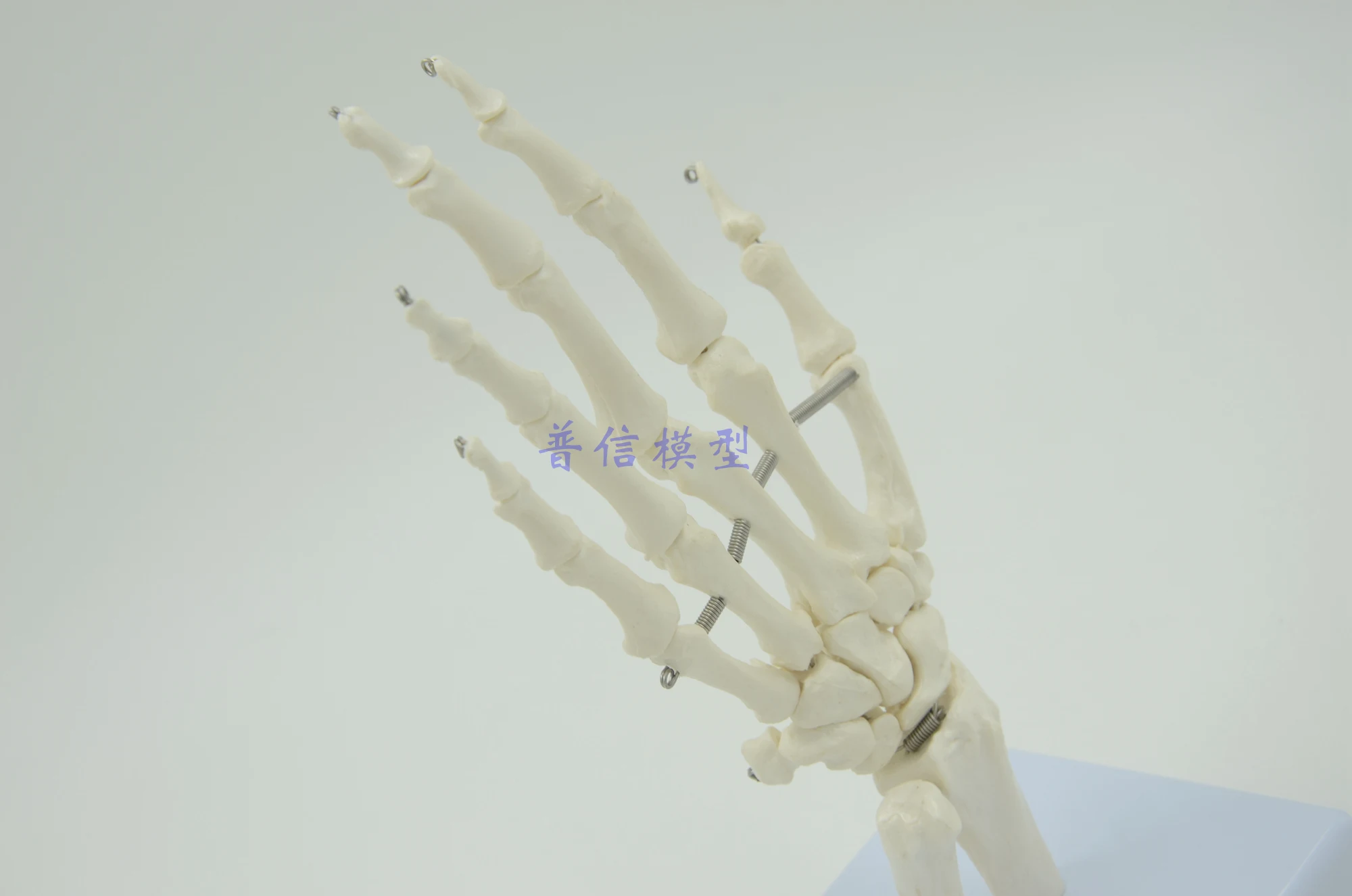 Human hand joint model hand skeleton model Medical Science teaching supplies