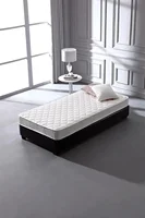 6 inch Twin Bed Mattress - Hybrid Euro Top Comfort Sleep - Eco-Friendly, Breathable Innerspring Twin Size Mattress 1