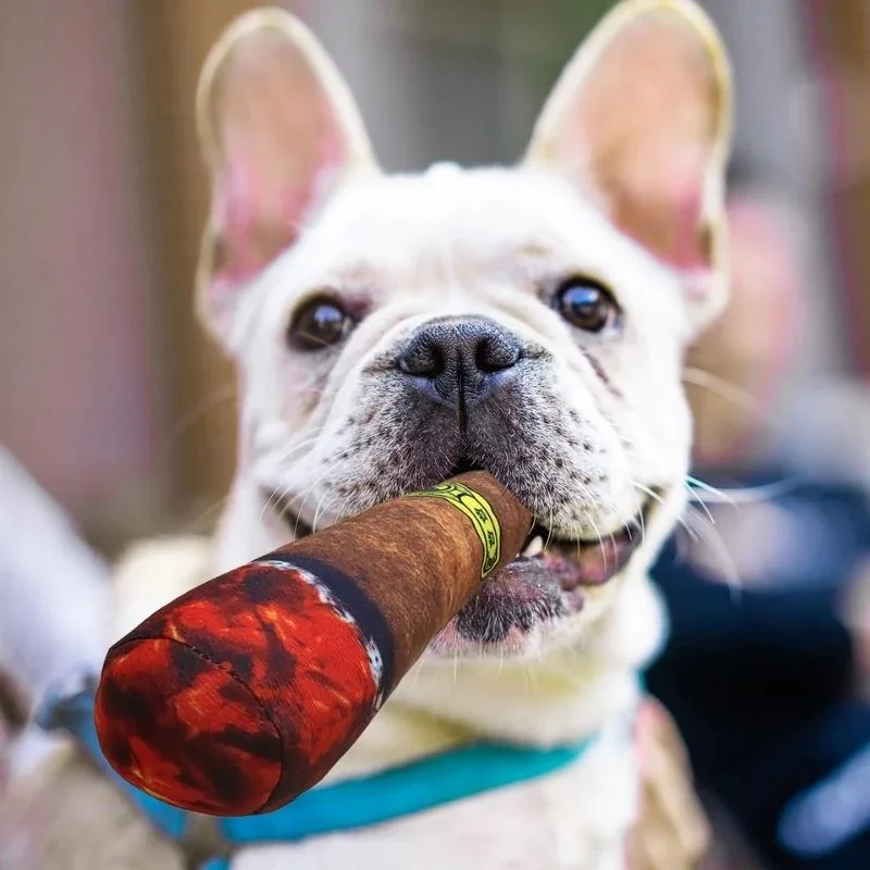DogCigarToyForSmallMediumLargeDogsPlushStuffedSqueakyPuppy