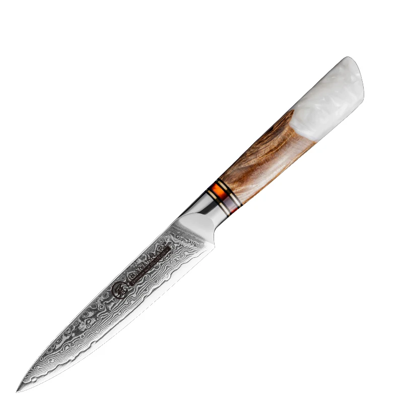 Grandsharp 4PCS Knife Set Damascus Steel knives 10Cr15C0Mov
