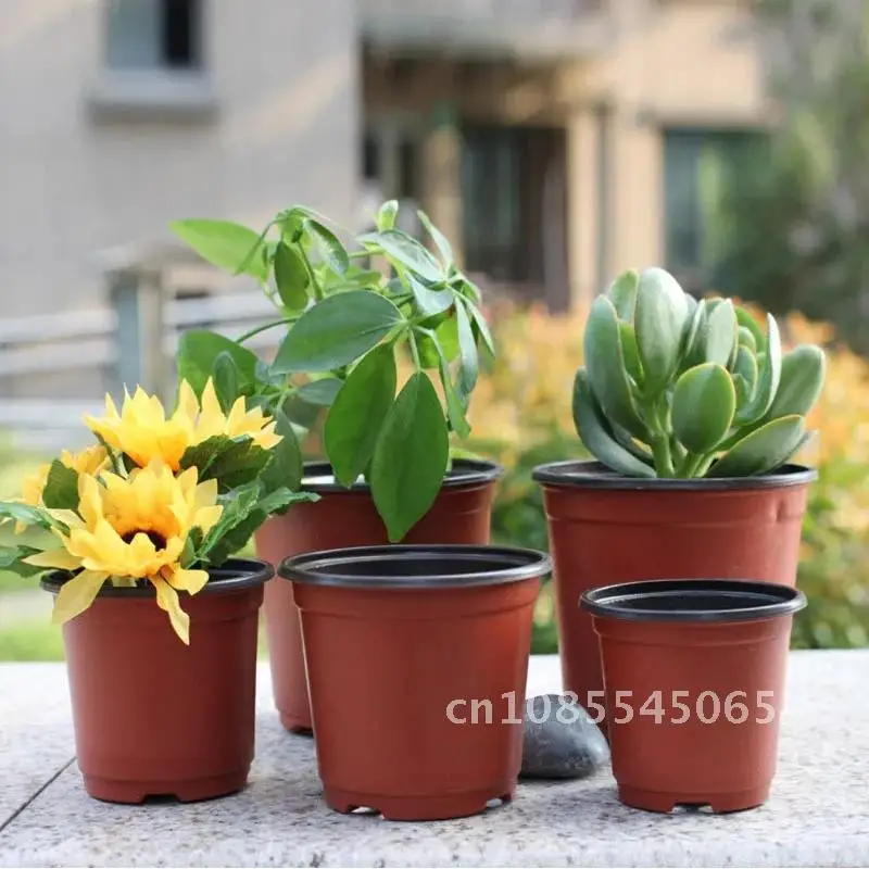 

Planting Flower 50pcs Plant Pot Nursery Starter cup Grow Home Flowerpot Gardening Container with Hollows Garden Tool