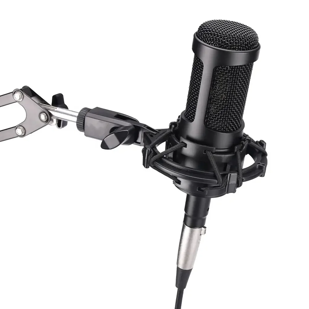 AT2035 Audio Wired Cardioid Condenser Microphone Wide Dynamic Range for Performance Live Recording Vocal Condenser MIC