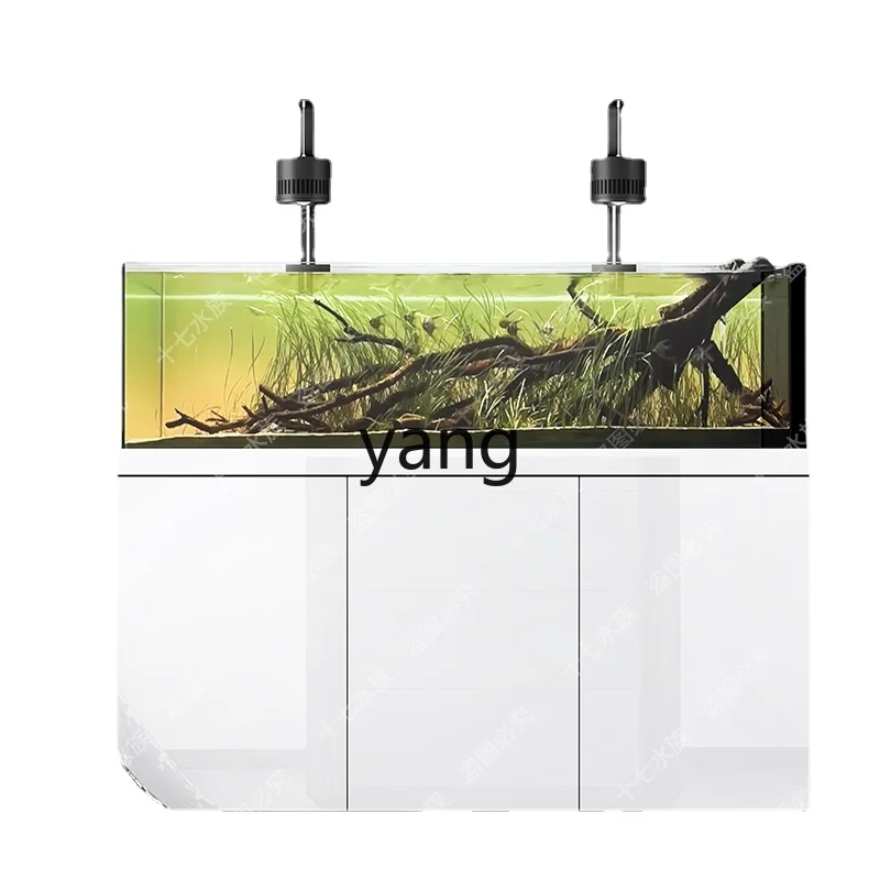 

CX Extremely Narrow Overflow Stream Lanshou Taishi Grass Tank Sanhu Super White Glass South American Fish Tank Aquarium