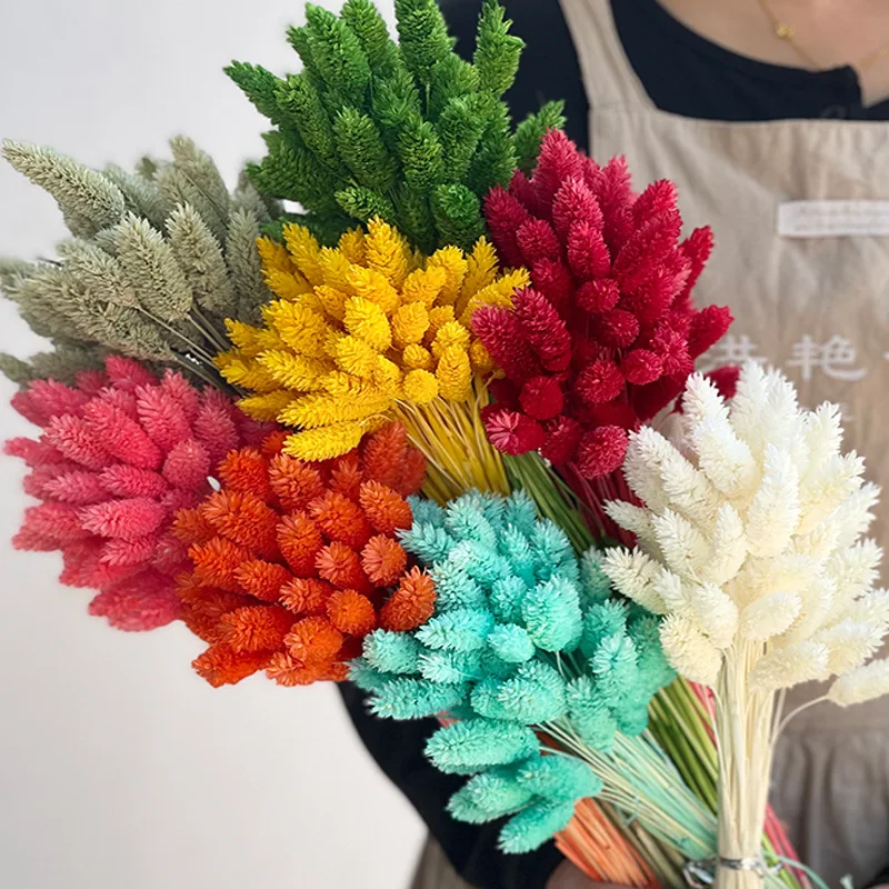 

Natural Dried Flower Gem Grass Jewelry Grass Phalaris Preserved Bunny Tail Bouquet Living Room Boho Home Decor Photography Props