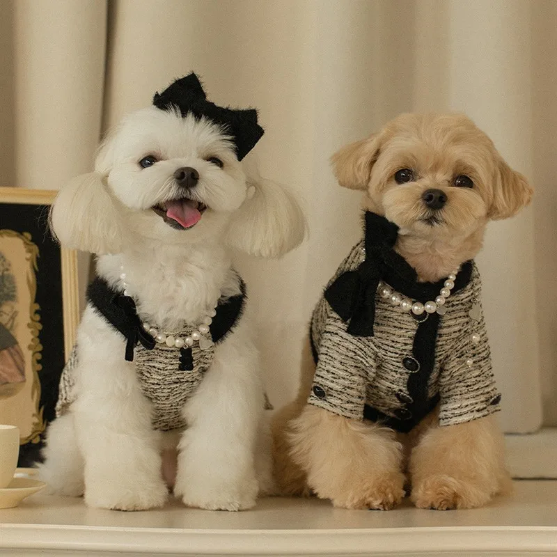 luxury dog clothing