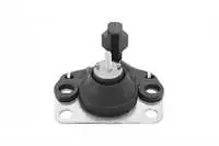 

Store code: 55139 for engine mount right CLIO I EXPRESS KANGOO MEGANE II EXPRESS KANGOO MEGANE (original production)