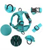 Reflective Pet Dog Harness and Leash Set for Small Medium Dogs mascotas Accessories Yorkies Puppy Cat Vest Harnesses arnes perro 5