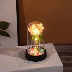 Eternal Colorful Luminous Rose Ornament - Perfect Gift for Women and Home Décor (Pink)