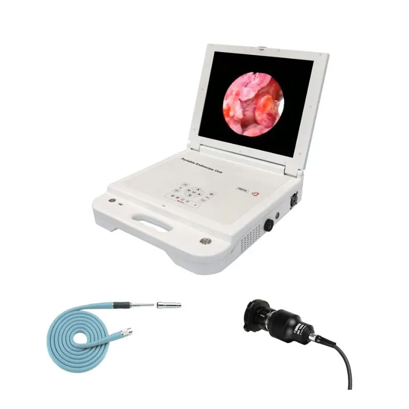 

Endoscopy Portable Endoscope LED Light Source