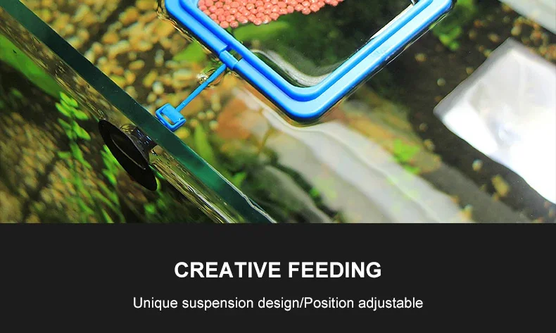 Fish Feeding Ring with Suction Cups