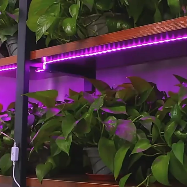 Üvegházhatású Növény Led -Es Lámpa Termesztési Beltéri Kültéri Lámpák A Növények Termesztésére Szolgáló Polc Üvegház Növekszik - Image 4