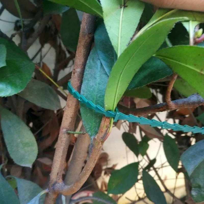 Adjustable Plastic Plant Cable Ties Reusable Cable Ties 50pcs plant cable ties For Garden Tree Climbing Support Plant Vine Tomato Stem Clip