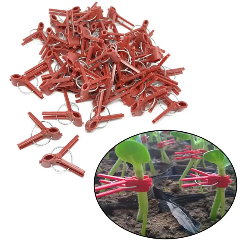 Grafting Clamps 50PCS Plant Grafting Clip Plastic Gardening Tool For Cucumber Eggplant Watermelon Round Mouth Flat Mouth Anti-fall Clamp