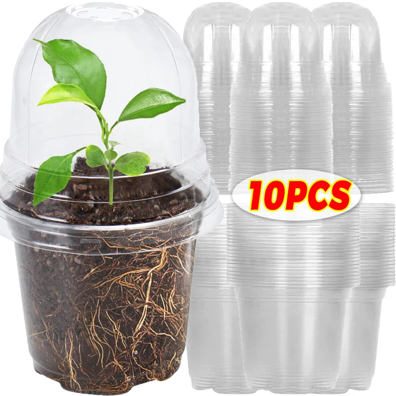 Clear Nursery Pots with Covers - Plant Seedling Holders and Garden Containers (5/10 Pack)