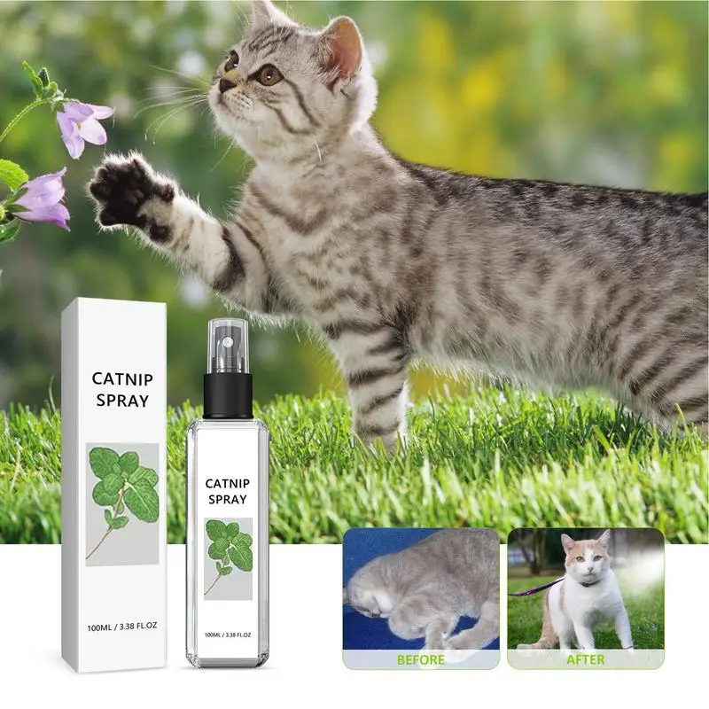 Spray de hierba gatera para gatos, ingredientes saludables, Spray de entrenamiento para gatitos, planta Natural, cuidado de mascotas, Spray líquido calmante para gatos, 100ml