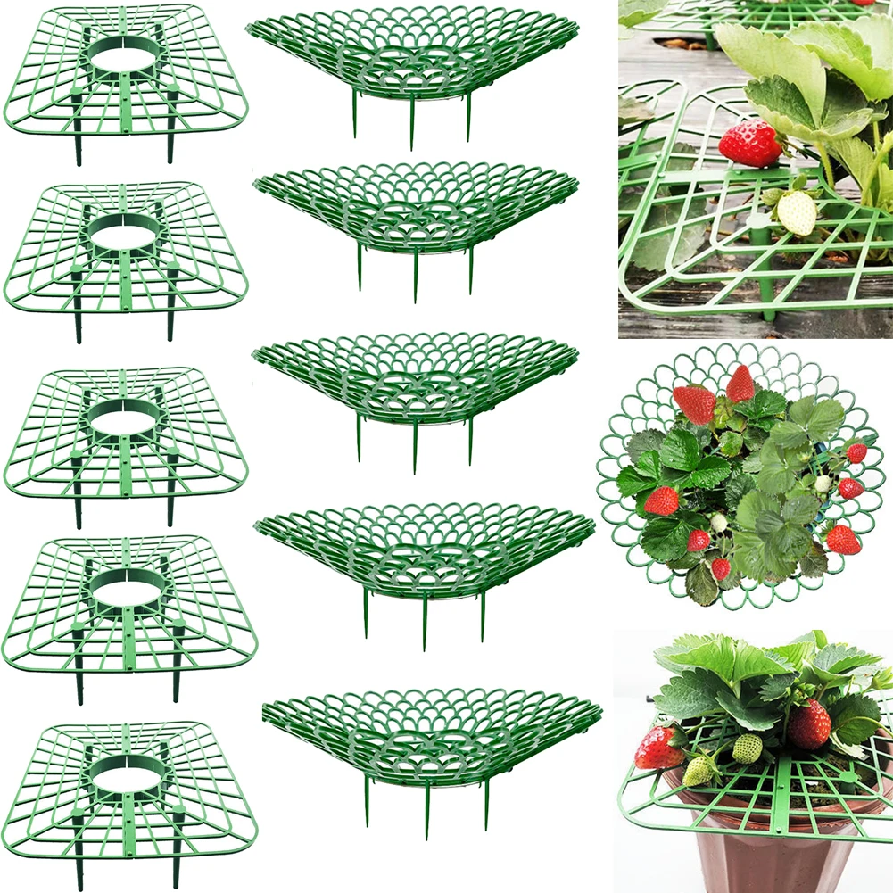 

5/10pcs Strawberry Supports Cultivation Frame Support Rack Growing Strawberries Square Planting Plastic Stand Garden Tools