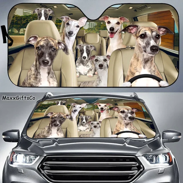 Whippet Auto Sonnenschutz, Whippet Windschutz scheibe, Hunde Familie  Sonnenschutz, Hunde Autozubehör, Auto Dekoration, Whippet Liebhaber  Geschenk - AliExpress