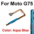 G75 Aqua Blue
