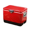 High Quality Hot Vehicle Mini Cooler Fridges 29L 51L Portable Car Refrigerator For Camping Outdoor 1