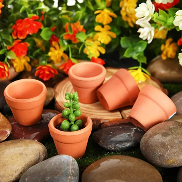 50 Pcs Tiny Terracotta Pots - 1.3 inch Small Mini Clay Pots with Drainage Holes Flower Nursery Terra Cotta Pots for in/outdoor 2