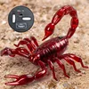 Remote Control Toy Realistic Scorpion Model Rc Animal High Simulation Fake Scorpion Prank Infrared Electric Toys Present Gifts A 2