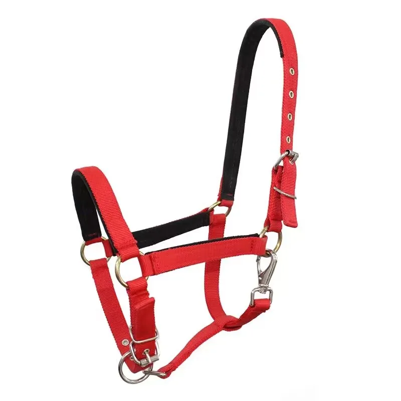 Horse Halter Protective Padded Adjustable Chin and Throat Snap Horse Riding Equipment Multiple Sizes Durable Rope