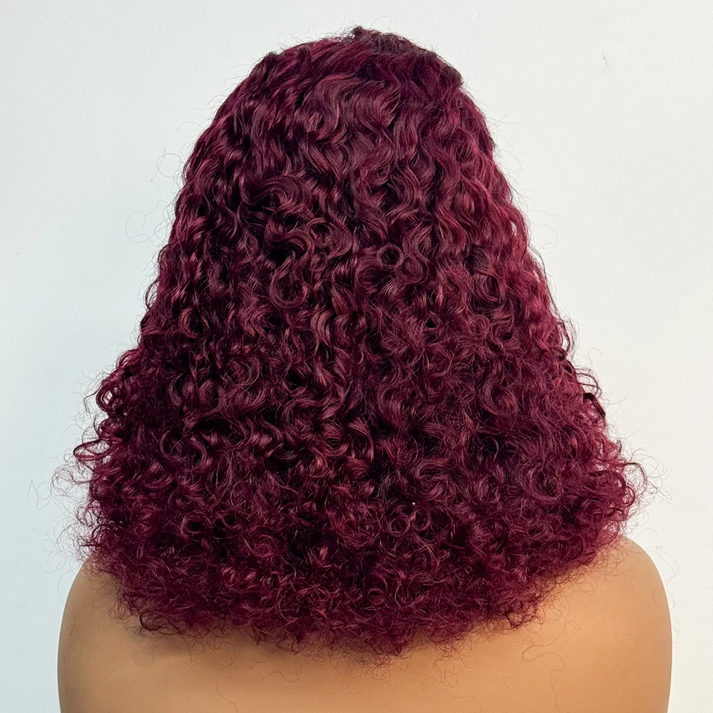 250% Density Water Wave Curly Human Hair Wigs Double Drawn 4x4 Transparent Lace Closure Human Hair Wigs  For Black Women