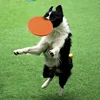 Silicone Flying Saucer Funny Dog Cat Toy Dog Game Flying Discs Resistant Chew Puppy Training Interactive Pet Supplies 5