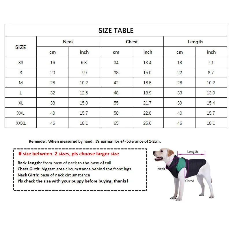 Robe de Princesse Canine Chanel - 2025 - Vêtement et accessoires pour chiens - Doglovedesign
