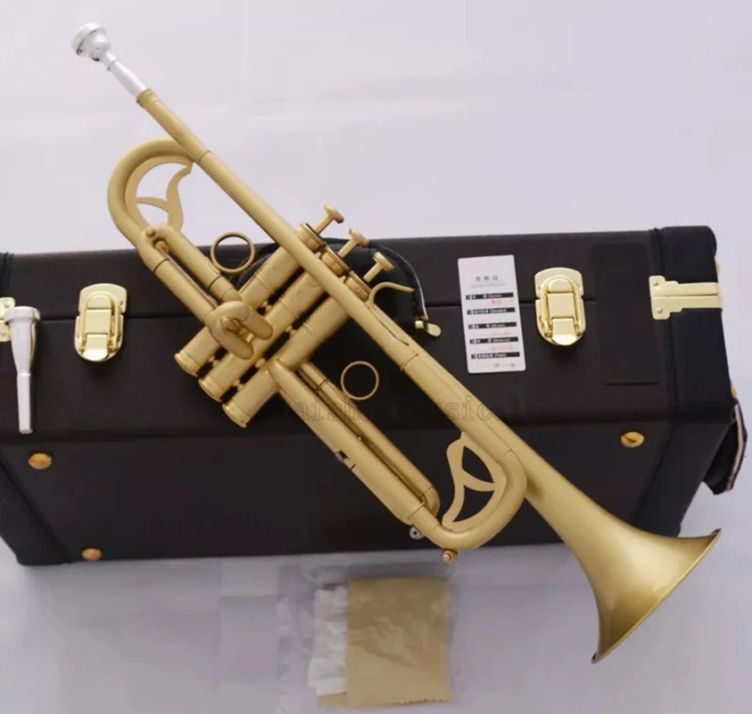 Professional Matt Brushed Bb Trumpet Horn Monel 2-Mouthpiece Leather Case