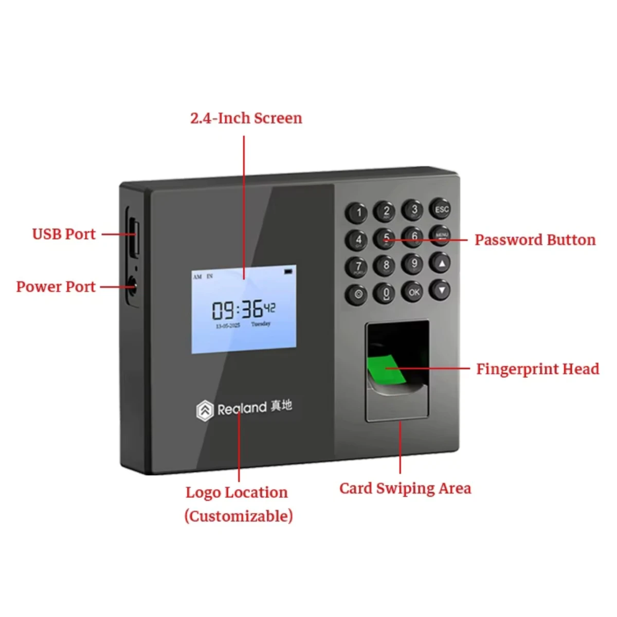 Realand E230 지문 번호 근태관리기 2.4인치 USD 무료 클라우드 SDK 리눅스 웹 관리