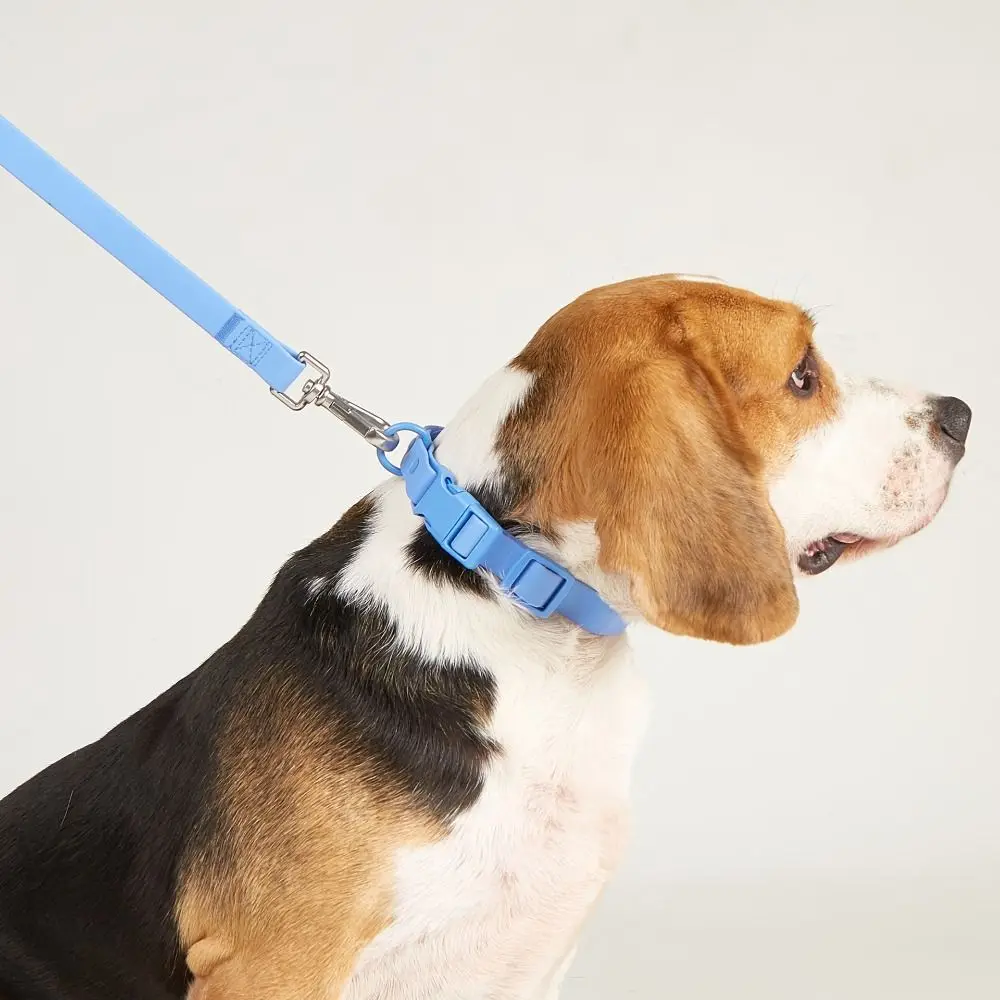 Adjustable Dog Collar Leash Set Waterproof Washable PVC Pet Collars Combo Dirt Resistant Quick Release Buckle Soft Dog Leashes