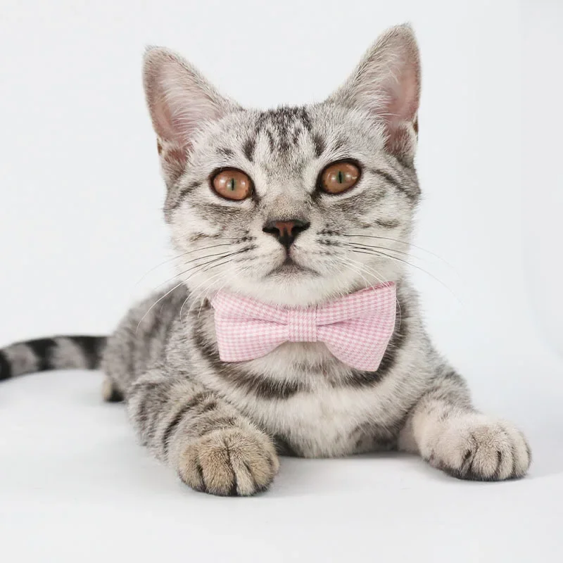 Stylish Plaid Cat Collar with Bow Tie