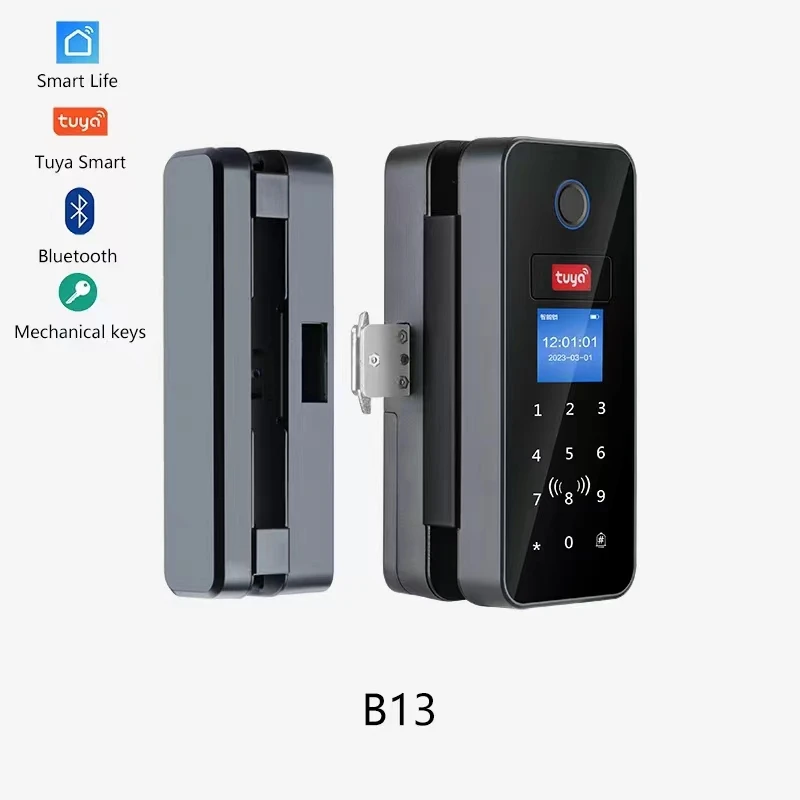 B13-tuya