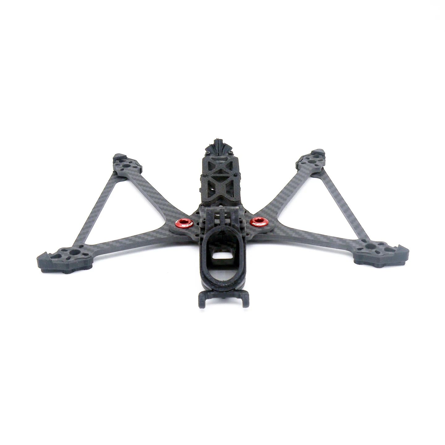Rex210 (11).JPG