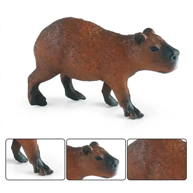 Kleine Capybara Figur Mini Capybara Spielzeug Figur Wissenschaft und  Bildung Tier Statue Capybara Geschenk Simulation für Blumenbeet - AliExpress