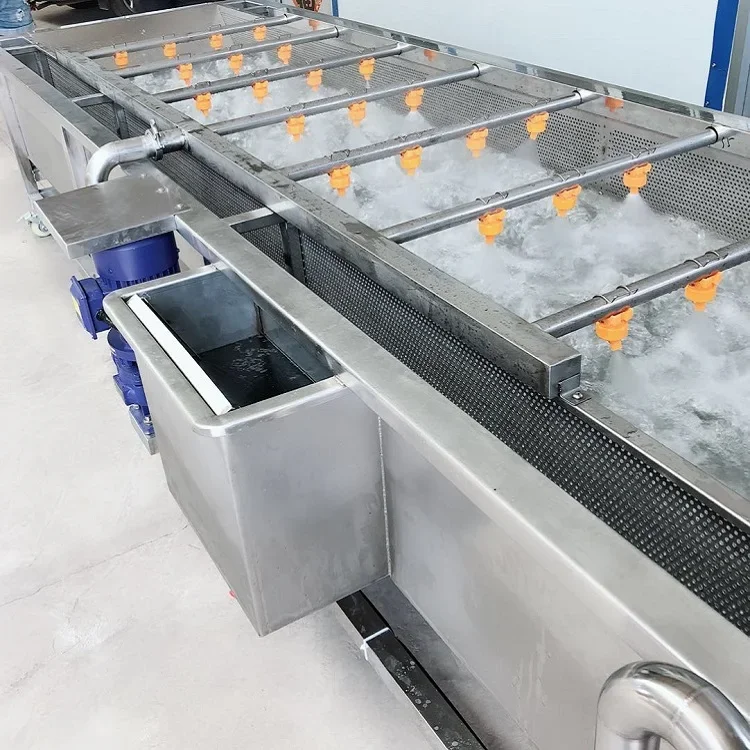Circulating Water Chestnut Portulaca Ormosia Washer Conveyor Tremella Fruit Vegetables Clean Washing Machine 6