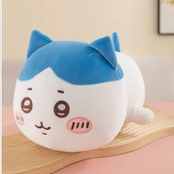 30cm
