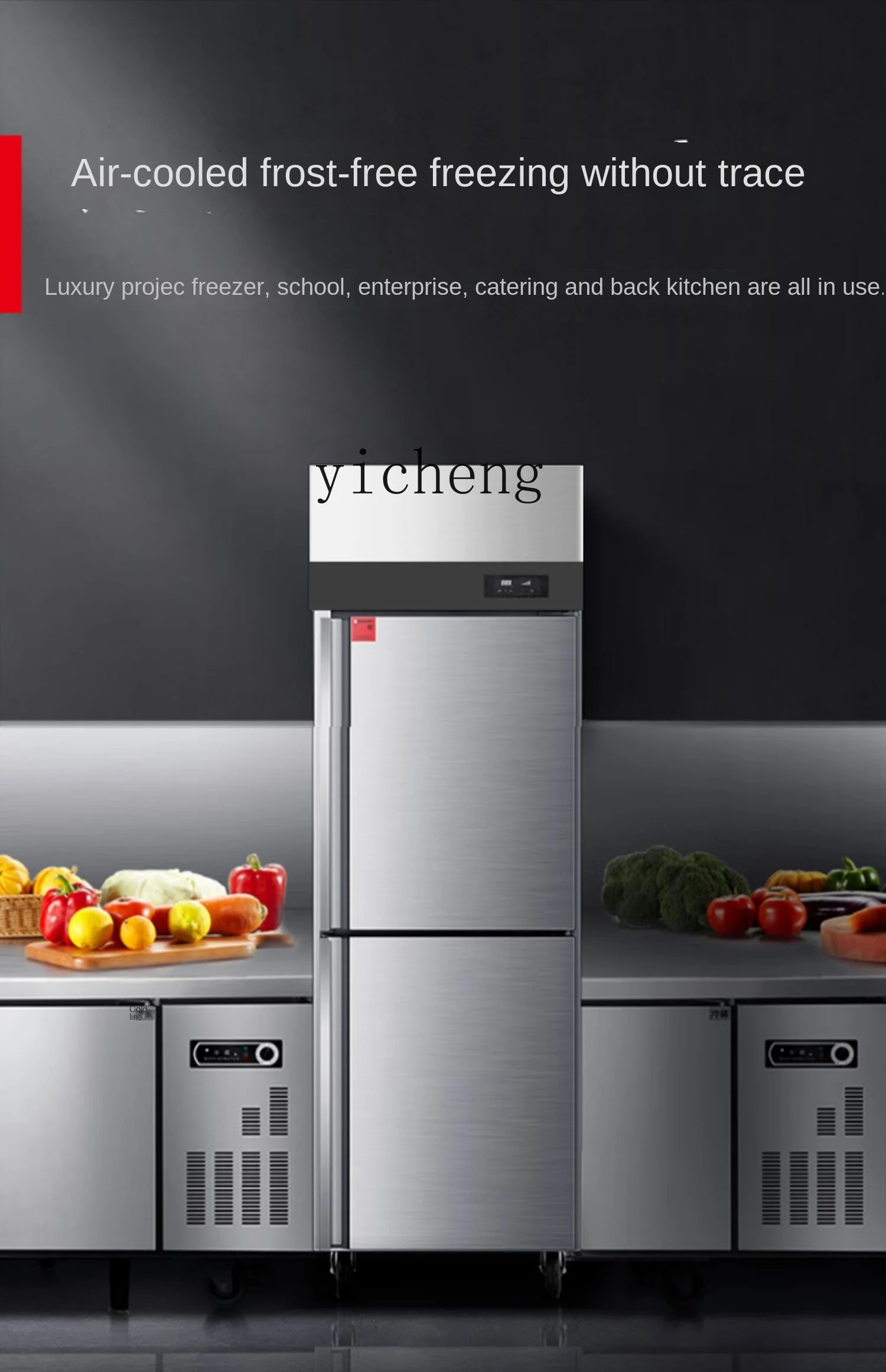 Tqh Air Cooling Frostless Two-Door Refrigerator Commercial Vertical Refrigerated Cabinet Freezer Cake Strip Freezer