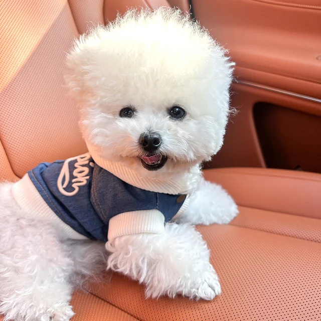 Pet Clothes Dog Cat Cat Out Handsome Cute Comfortable Champion Embroidered Blue Coat Hoodie 4