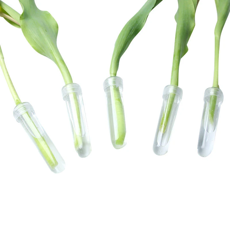 Flower Storage Tube Buckets 20Pcs for Cut Flowers Florist Supplies Floral Tubes Plastic Vase Crafts Toddlers Vials Water plastic flower tube